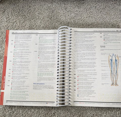CPT 2023 Professional Edition AMA Spiralbound Code Book
