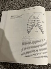 Human Structure by William L. Hylander, Matt Cartmill and James Shafland (1987,