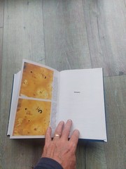 Satellites of Jupiter illustrated book edited by David Morrison 1982