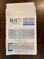 Lot of 95 BOT-2 Bruininks-Oseretsky Motor Proficiency Test Examinee Forms 58002