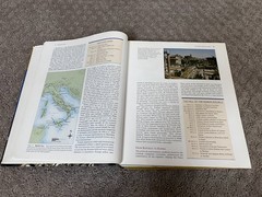 The Western Heritage Since 1300, AP Edition