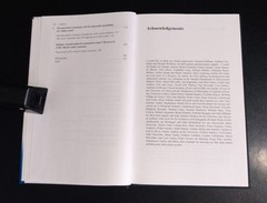 REINHOLD NIEBUHR AND INTERNATIONAL RELATIONS THEORY – Guilherme Pedro (As New)