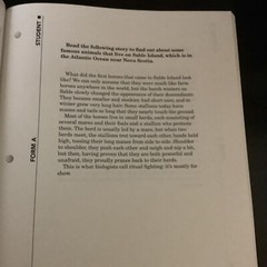 Informal Reading Inventory Preprimer to Twelfth Grade SC International Roe 2010