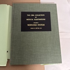 Nervous System Volume I Ciba Collection Of Medical Illustrations Frank H Netter