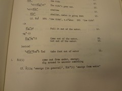 Dictionary of Puget Salish by Thom Hess 1976 Univ of Washington Press