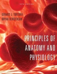 Principles of Anatomy and Physiology by Bryan H. Derrickson – NO CD