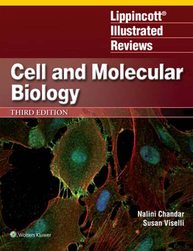 Lippincott Illustrated Reviews: Cell and Molecular Biology by Chandar: Used