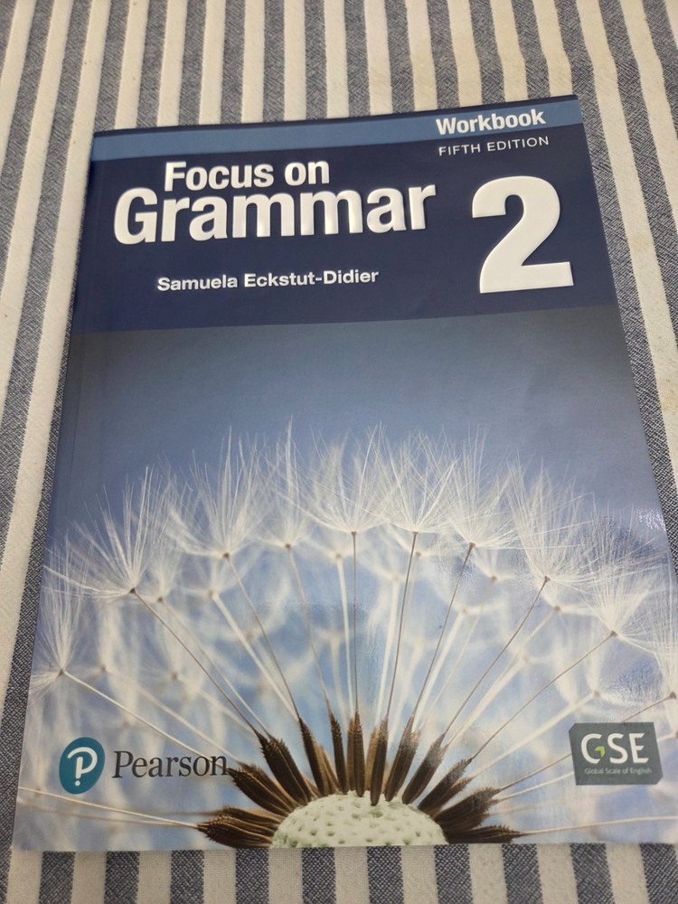 Focus on Grammar Level 2 : Workbook by Schoenberg (2017, Trade Paper)-LIKE NEW