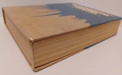 Introduction to Instrumental Analysis by Robert D. Braun
