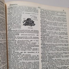 Webster’s New World Dictionary of the American Language 1966 College Edition VTG