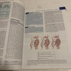 Introduction to Maternity and Pediatric Nursing by Leifer, Gloria. B14