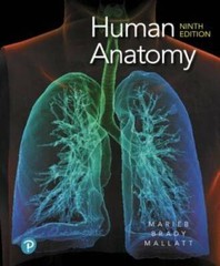 Human Anatomy (9th Edition) – Hardcover By Marieb, Elaine N. – GOOD