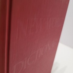 Webster’s New World Dictionary of the American Language 1966 College Edition VTG